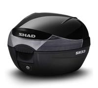 Shad