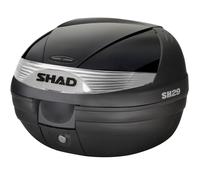 Shad