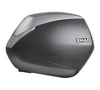 Shad