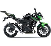 Shad Top Master, kit de montaje del baúl male