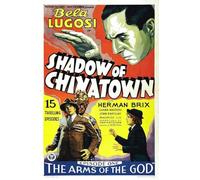 Shadow Of Chinatown [Edizione: Stati Uniti] [Italia] [DVD]