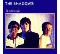 Shadows - Life in the jungle
