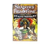 Shadows of Brimstone Blood Priestess Hero Pack