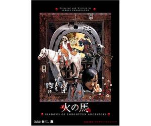 Shadows of Forgotten Ancestors [Alemania] [DVD]