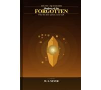 Shadows of the FORGOTTEN: What the door opened, came back. (THE NEVER SERIES)