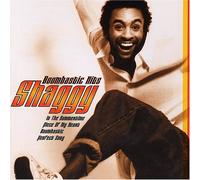 Shaggy - Boombastic Hits