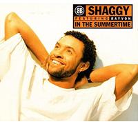 Shaggy - In The Summertime