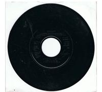 SHAGGY - IN THE SUMMERTIME - 7 INCH VINYL / 45