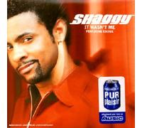 Shaggy - It Wasnt Me