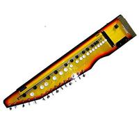 Shahi Baaja instrumento muy pesadilla, Fusion de guitarra eléctrica, Dulcimer y Arpa, indio