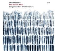 Shai Maestro - The Dream Thief (SHM-CD)