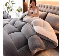 SHAIRMB EdredóN, EdredóN Sin Funda para Cama Doble, EdredóN Grueso De Terciopelo De Cordero, CáLido E Ideal para El Invierno, EdredóN Sin Funda Lavable, Acogedor Y CáLido,001,220x240cm/5kg