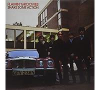 Shake Some Action (Burnt Orange Vinyl) (Ams Exclusive)-FLAMIN GROOVIES