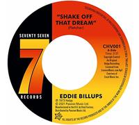 Shake Up That Dream / Try Something New [Vinilo]
