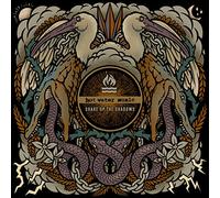 Shake Up The Shadows [Vinilo]