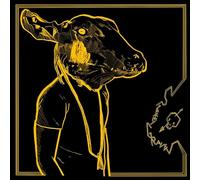 Shakey Graves - Roll The Bones X [Vinilo]