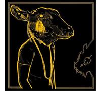 Shakey Graves Roll the Bones X (Vinyl) 10th Anniversary 12" Album