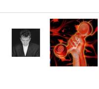 Shaking The Tree 16 Golden Greatest Hits - Secret World Live - Peter Gabriel Greatest Hits Live Two CD Album Bundling