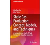Shale Gas Production: Concept, Models, and Techniques: A Comprehensive Study of Fluid Transport in Shale Gas Reservoirs (Petroleum Engineering)
