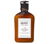 Shampoo Cabello Hombre DEPOT no.102 contra la Caspa & Sebo Control shampoo 250ml