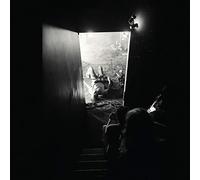 Shannon Lay - August [Vinilo]