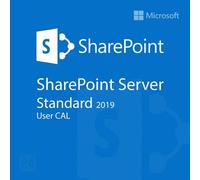 SharePoint Server 2019 Standard User CAL