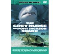 Shark Attack - The Grey Nurse And Port Jackson Shark [DVD] by Ian Gordon