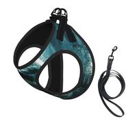 Shark Cum Print - Arnés para perro pequeño con correa, no Escape Easy Walk arneses para cachorros para entrenamiento y caminar
