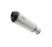 SHARK EXHAUST DSX-7 acero inoxidable cepillado/plata de carbono, plata