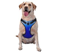 Shark Swimming Under the Sea - Arnés reflectante para perro de liberación rápida con 2 hebillas de liberación rápida, 4 tallas S, ideal para paseos al aire libre y caminatas