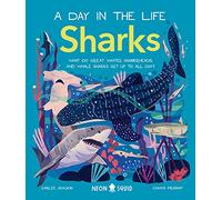 Sharks (A Day in the Life): What Do Great Whites, Hammerheads, and Whale Sharks Get Up To All Day?: 3