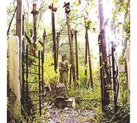 Sharks & Minnows - Cost of Living