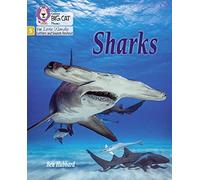Sharks: Phase 5 Set 1 (Big Cat Phonics for Little Wandle Letters and Sounds Revised)