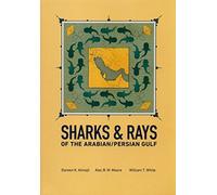 Sharks & Rays of the Arabian/Persian Gulf