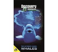 Sharks-Ultimate Guide [Reino Unido] [VHS]