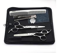 SHARONDS Juego de tijeras profesionales de peluquería de 6 pulgadas, juego de tijeras de peluquería para estilista de salón/hogar, juego de peluquería multifuncional de acero inoxidable