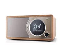 Sharp DR-450 Personal Digital Marrón, Acero inoxidable