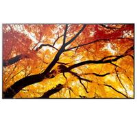 Sharp M982 Panel Plano Interactivo 2,48 m (97.5") LED 4K Ultra HD 550 cd/m² Negro 24/7