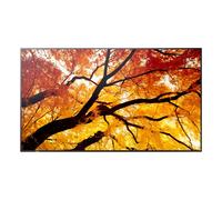 Sharp MultiSync M322 Pantalla plana para señalización digital 81,3 cm (32") LCD 550 cd / m² Full HD Negro