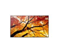 Sharp - MultiSync M432 Pantalla plana para señalización digital 108 cm (42.5") LCD 550 cd / m² 4K Ultra HD Negro