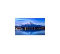 Sharp - MultiSync P556 Diseño de quiosco 139,7 cm (55") LCD 700 cd / m² 4K Ultra HD Negro Procesador incorporado