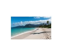Sharp MultiSync UN553S Pantalla Videowall de 55"