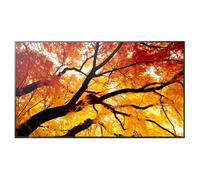 Sharp Pantalla LCD MultiSync E244F de 24" para aplicaciones industriales y de oficina