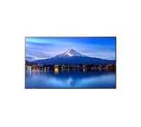 Sharp Pantalla profesional de gran formato LCD MultiSync P436 de 43"