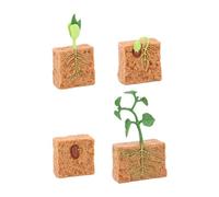 Sharplace 4 Piezas de Planta Modelos de Plantas Artificiales Juguetes Educativos Material PP Adecuado para Narración Decoración
