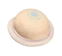 Sharplace Almohada de Peluche 3D de Simulación, Juguete de Aprendizaje, Lindo Y Suave, Modelo Ie de 27 Cm, Juguete Educativo para Profesores Y Niños, Saturno