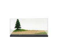 Sharplace Miniatura de Carreras Vitrina Acrílica Caja Expositora Diorama Superficie Rugosa Cobertura Clara Base Oscura Adecuada para Escritorio Estantes Oficina Sala de Ocio 150x77x70mm