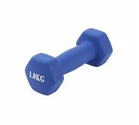 Sharplace Mujer Mancuerna Hexagonal Sólida de Hierro Fundido Ideal para Trabajo de Brazo Presses de Hombro Movimientos de Fuerza y Resistencia Muscular Adecuada, Azul Mate, 1kg/Unidad