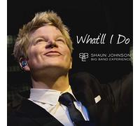 Shaun Johnson Big Band Experience - What'Ll I Do