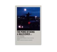 SHAUREWNYY Póster estético de The Perks of Being A WallFlower para decoración de pared, lienzo vintage, pintura decorativa para sala de estar, dormitorio, 30 x 45 cm, estilo sin marco
